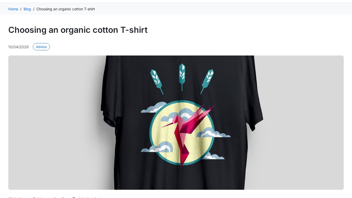 Blog article page