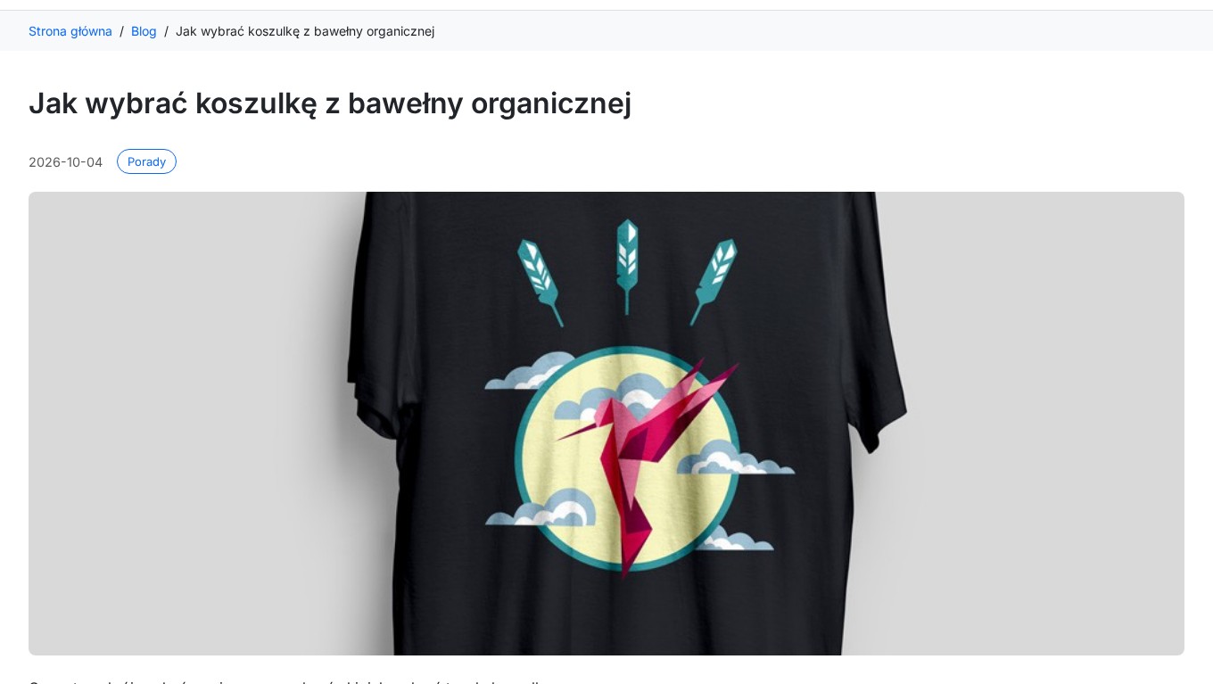 Strona artykułu na blogu