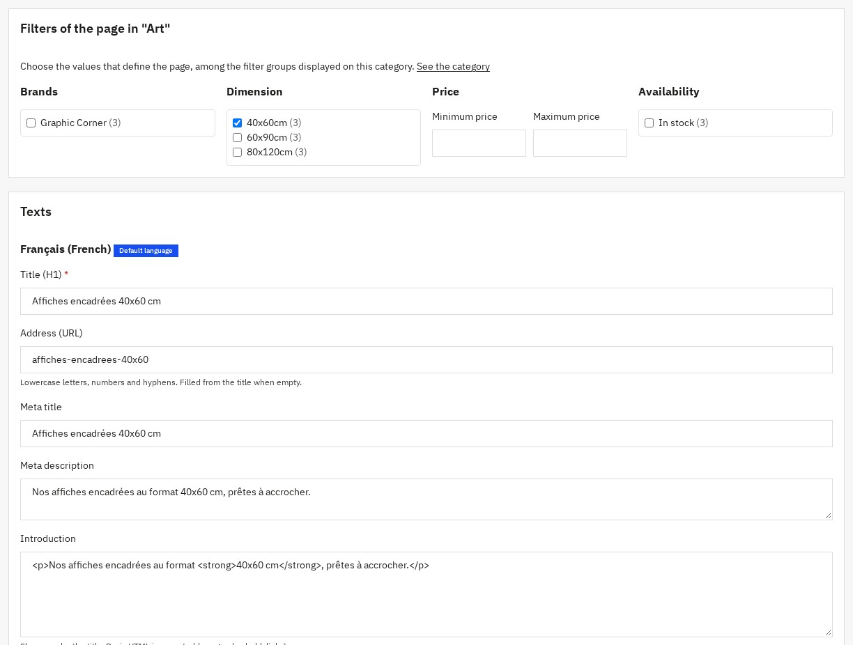 SEO filter page: category, preselected filters, URL and texts