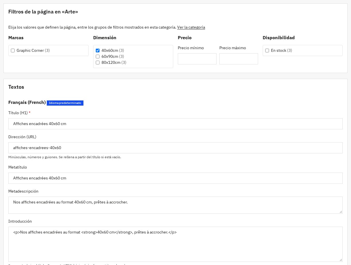 Página SEO de filtros: categoría, filtros preseleccionados, URL y textos
