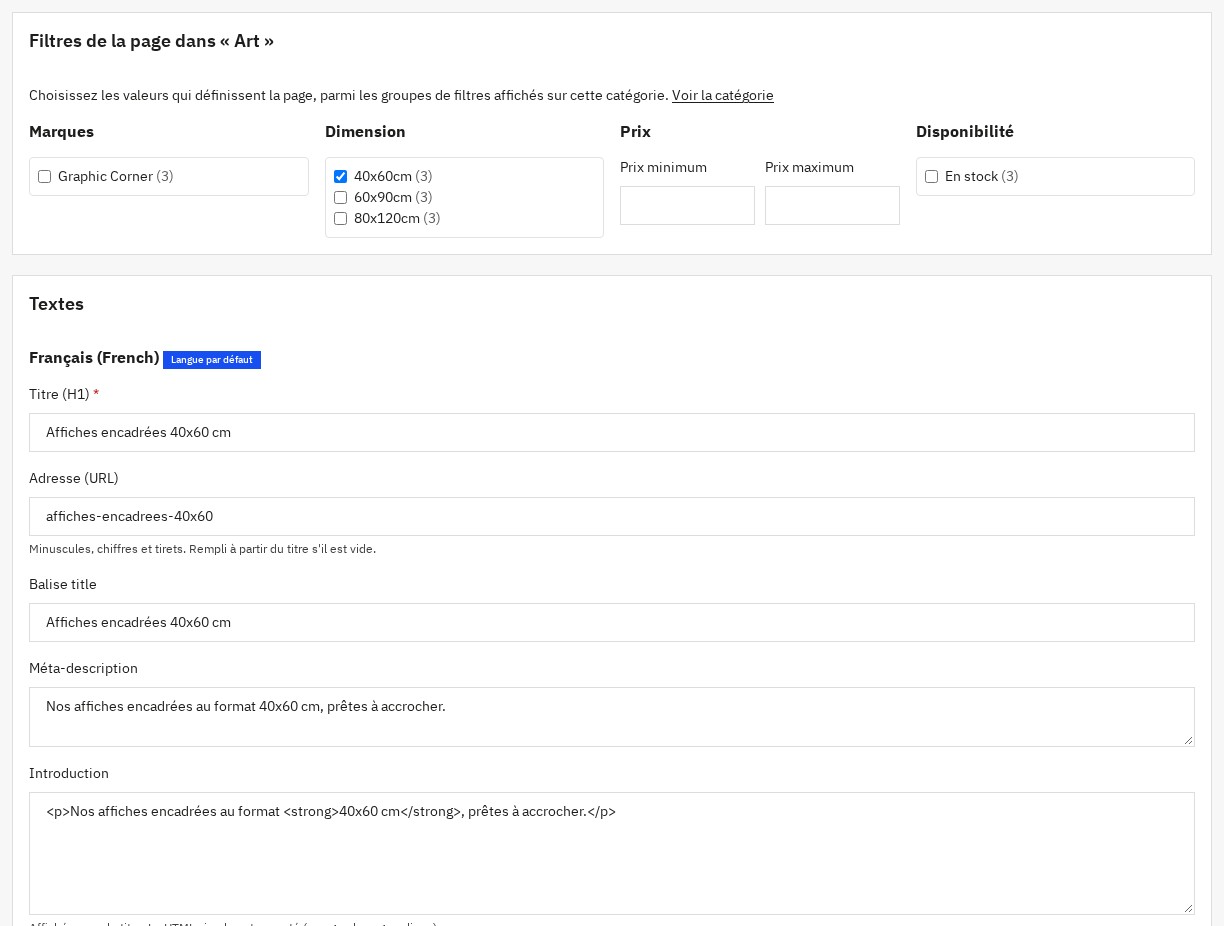 Page SEO de filtres : catégorie, filtres présélectionnés, adresse et textes