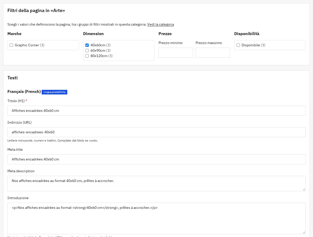 Pagina SEO di filtri: categoria, filtri preselezionati, URL e testi