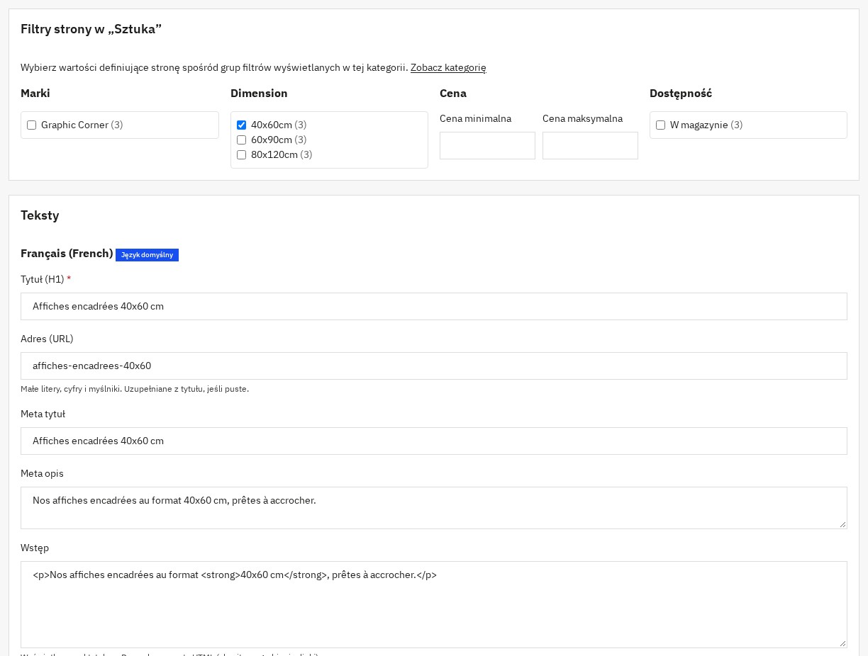 Strona SEO filtrów: kategoria, wstępnie wybrane filtry, adres URL i teksty
