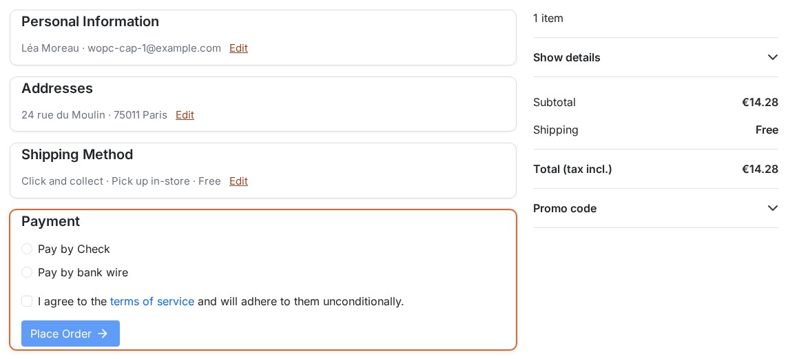 Completed sections folded with their summary (name and e-mail, address, carrier) and an Edit link, the payment section open